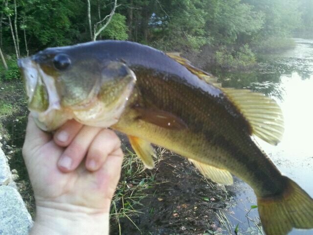 large mouth