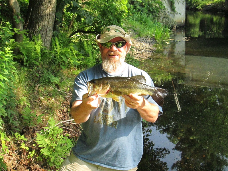 bass caught on 7/2/14 on frog