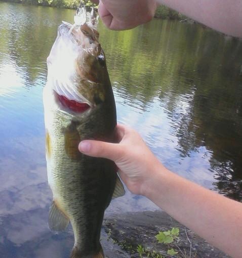 another bass on the lake