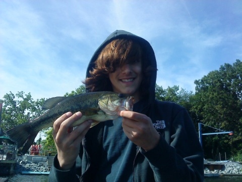 alex's fish