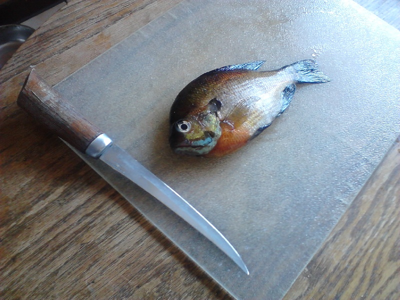 Fillet that Sunfish