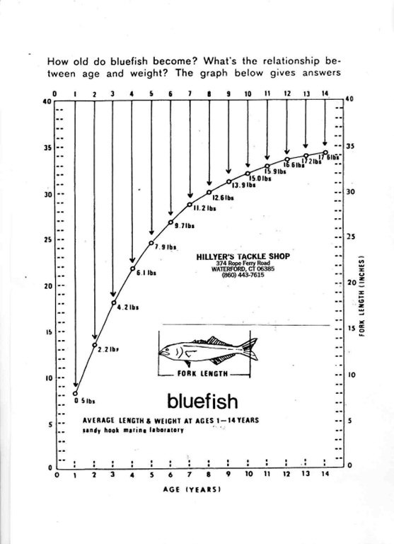 Bluefish Chart