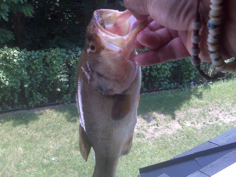 My first catch