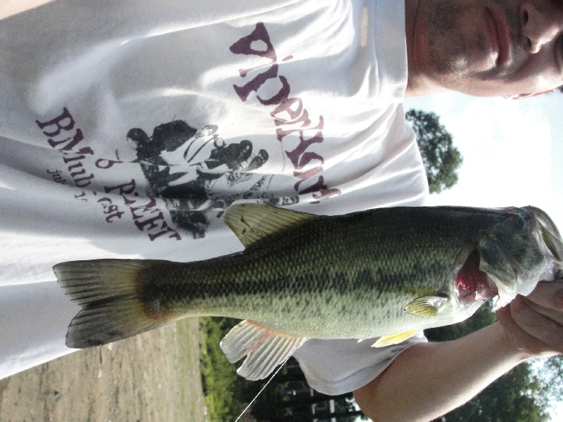 biggest fish of the day! (wish I could figure out how to rotate the pic)