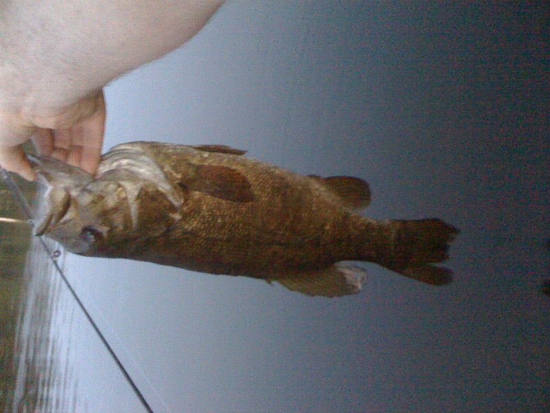 First smallmouth of the year
