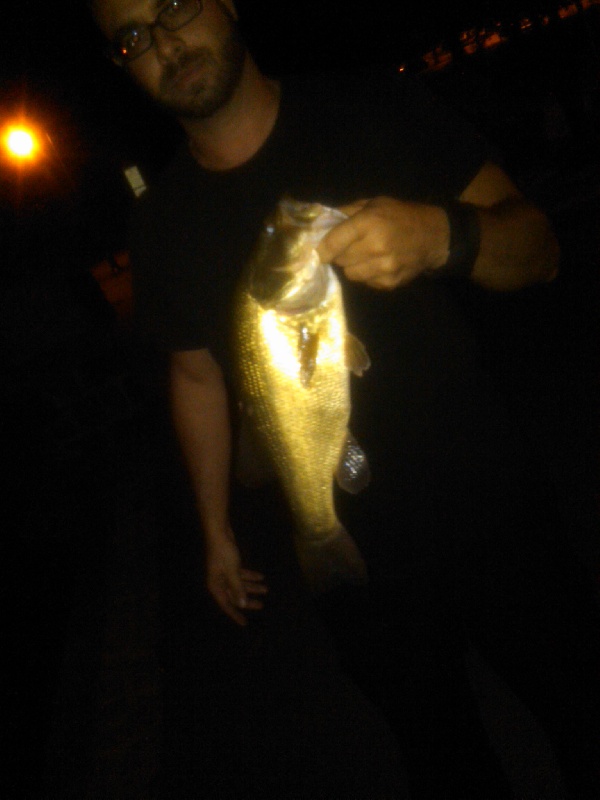 5th fish of the night