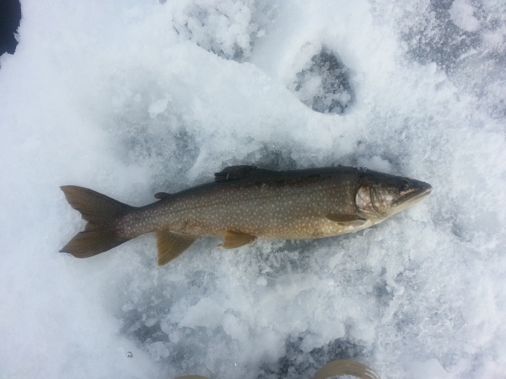 Ice fishing at Scroon Lake