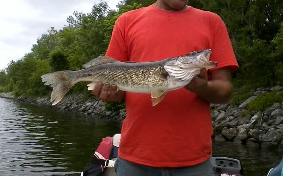 Fishing near Madison