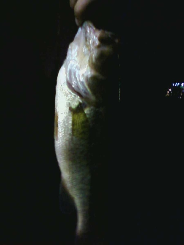 Nightfishing at Millpond