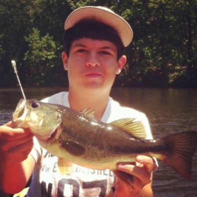yet another westons bass