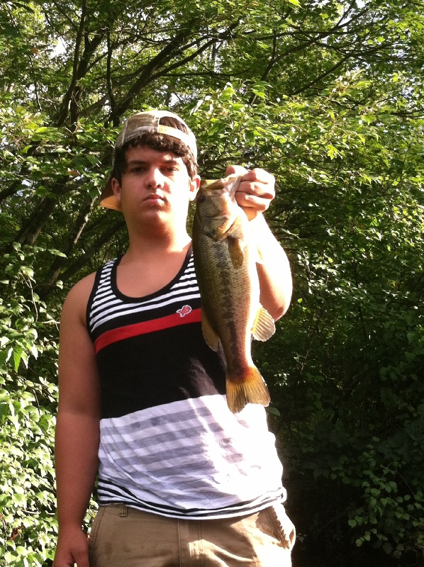 solid bass on jig
