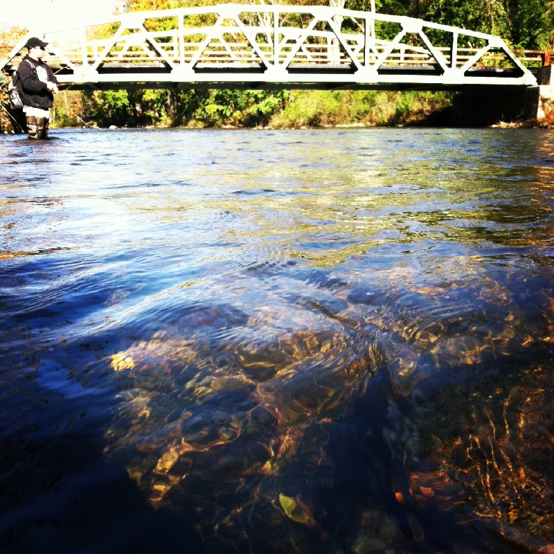 cool shot from trout fishing