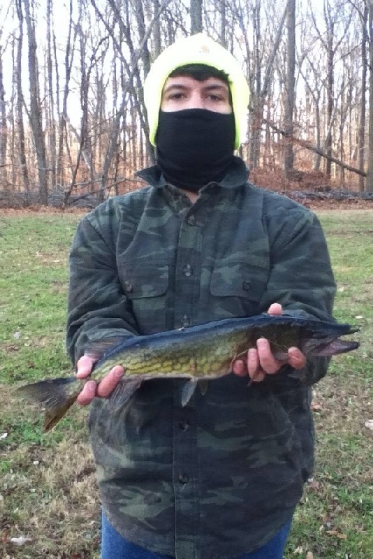 Cold weather pickerel