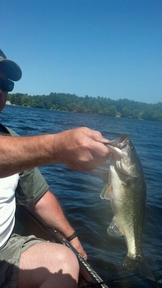 Stetson Pond bass
