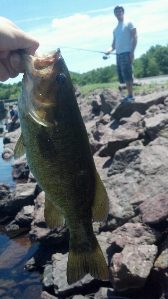 Another nice Smallie