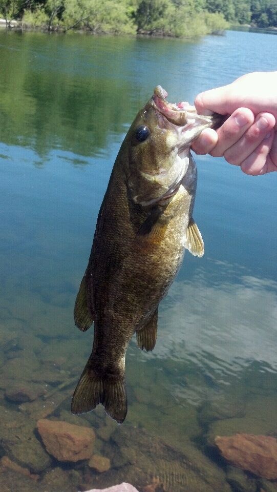 Last smallie of the day!