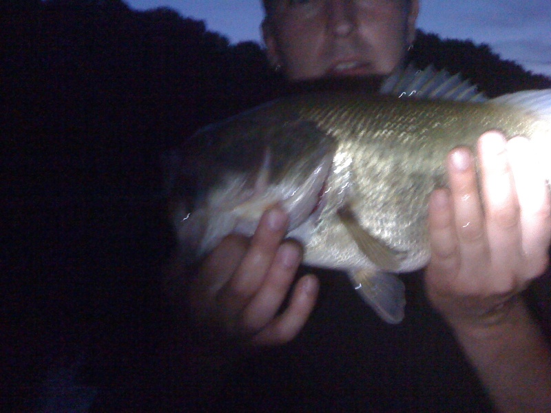 Night Fishing Lillinonah