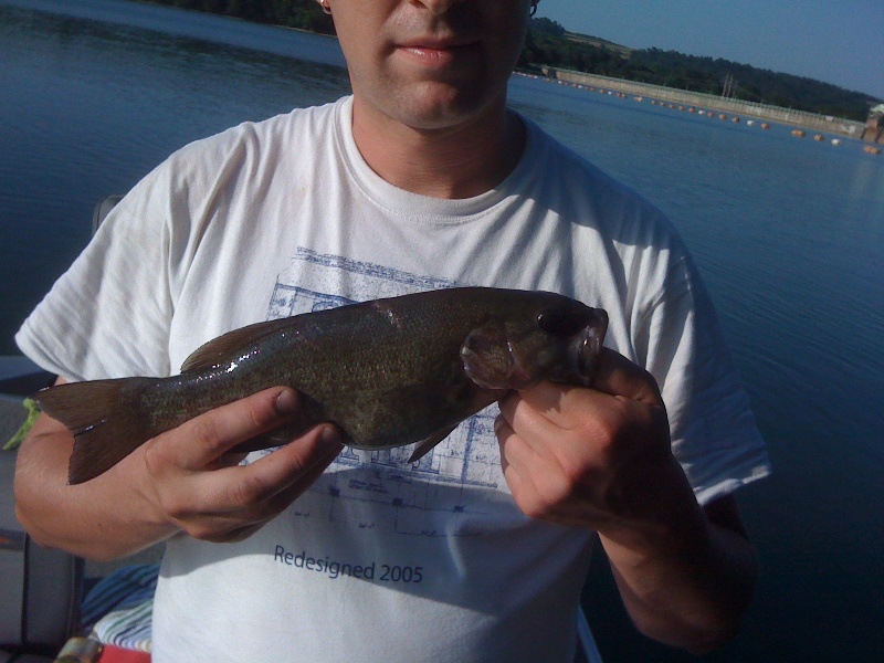 Another little smallie
