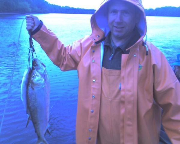 Dave CT River Shad