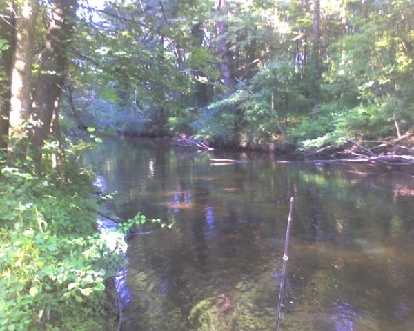 Salmon Brook
