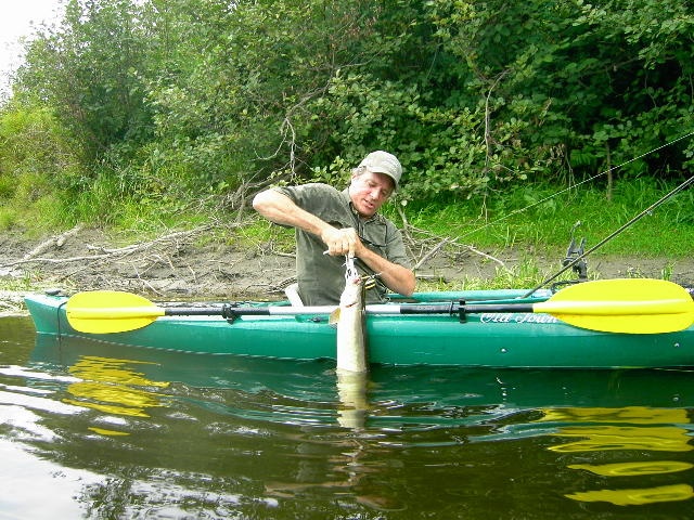 nice muskie maine guide dave kelso caught with one of our inlines