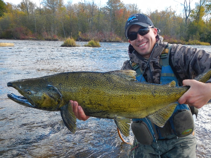 30 pound Male Chinook Salmon