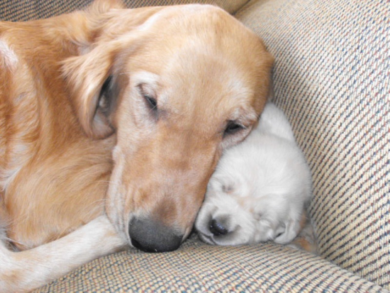 Mommy and pup
