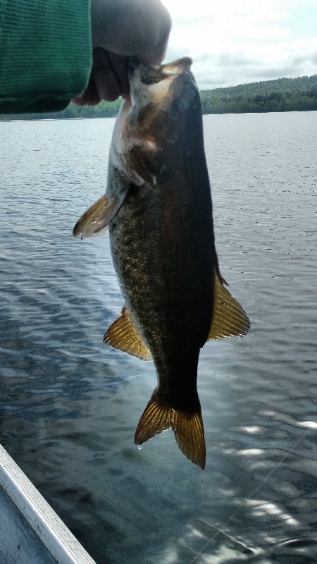East Grand Lake small mouth 1