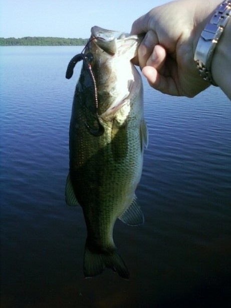 Large Mouth