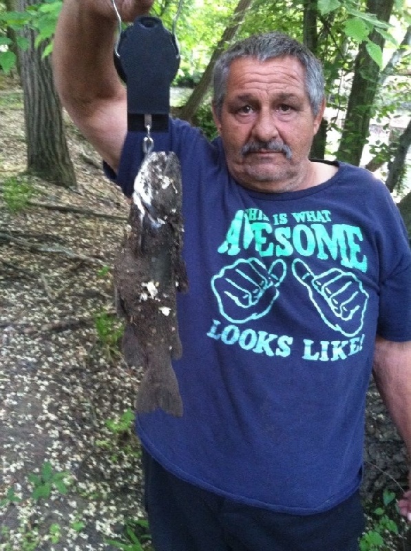 my dads 3 pound channel catfish 