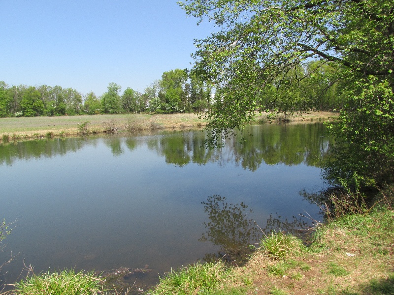 Farm Pond