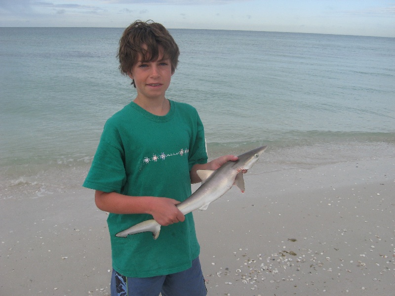 my brothers first shark....