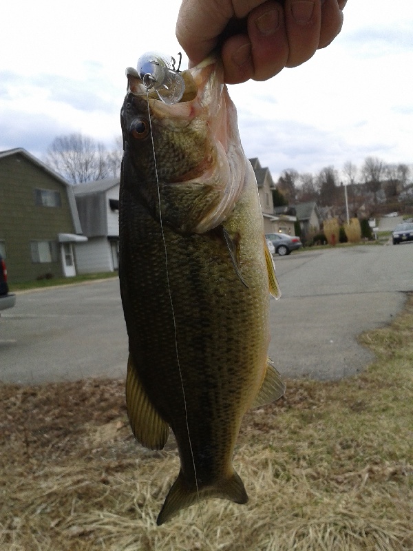 First bass of the year 4/11/14