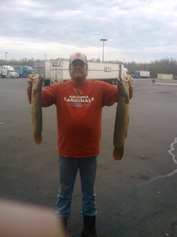 Bowfin in KY