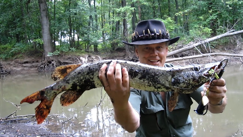 Ken Beam catches a nice Northern Pike in the Pasaic River