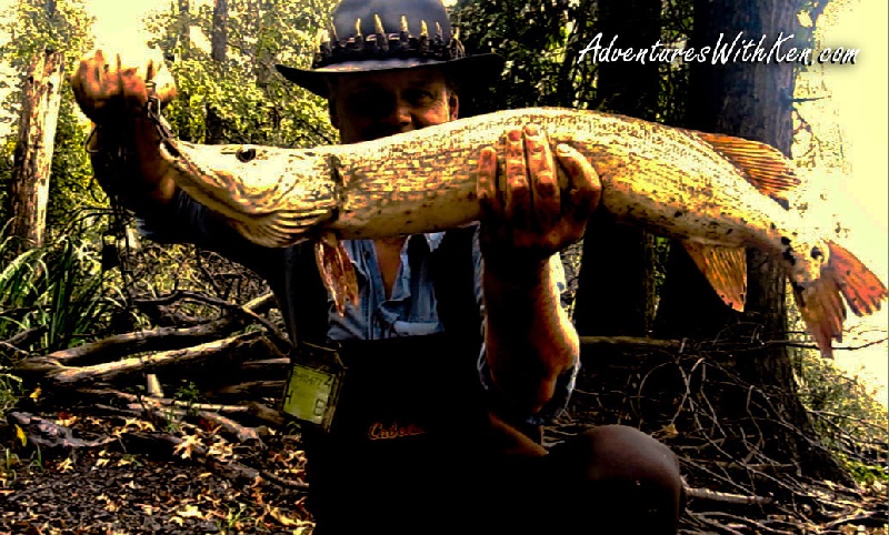 Ken Beam catches 35" Northern Pike fishing out of his kayak!