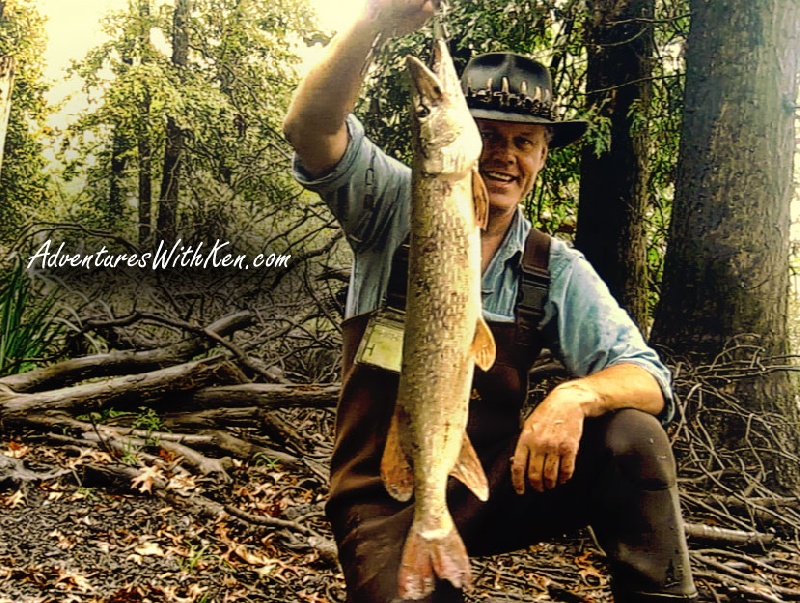 Ken Beam catches Pike in Great Swamp | NJ Fishing | Fall Fishing 2014