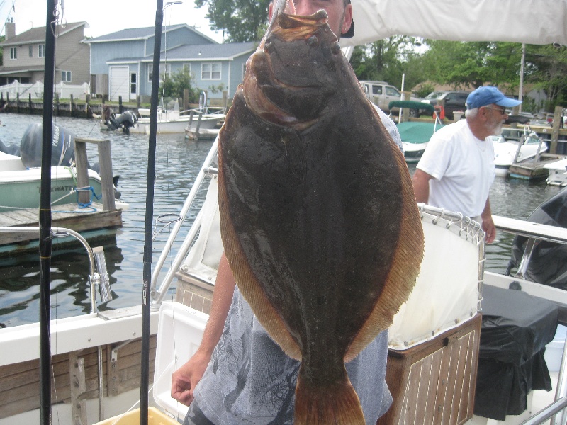 flounder 38inch