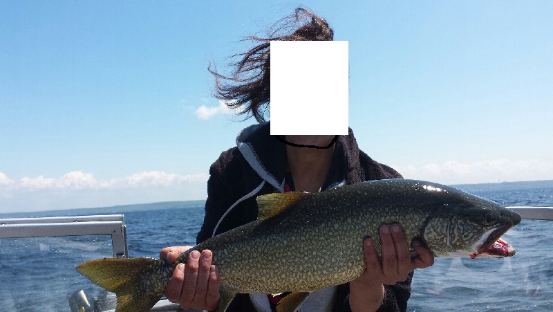 trout browns and lakers near Cape Vincent
