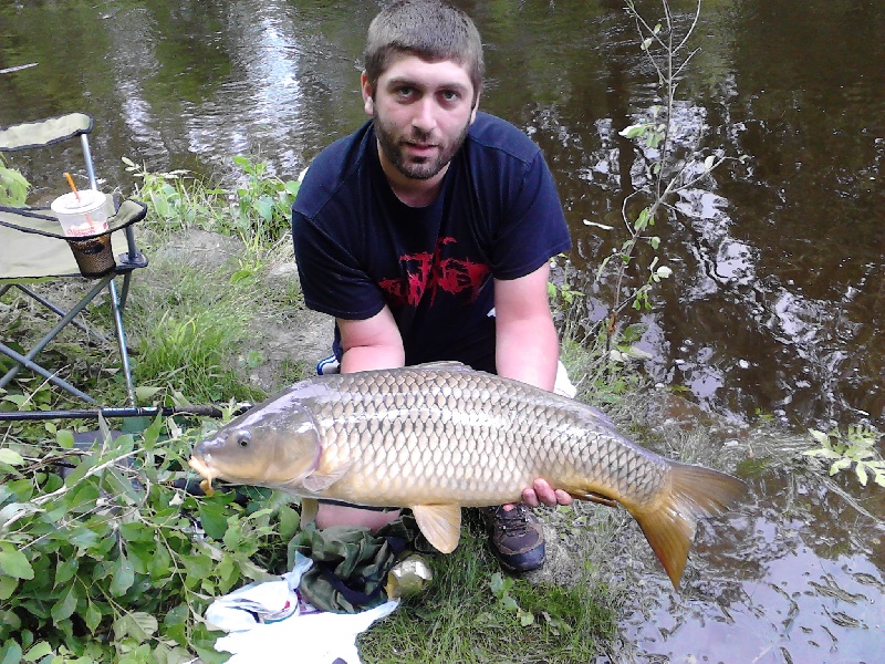 22 pound common carp 2012