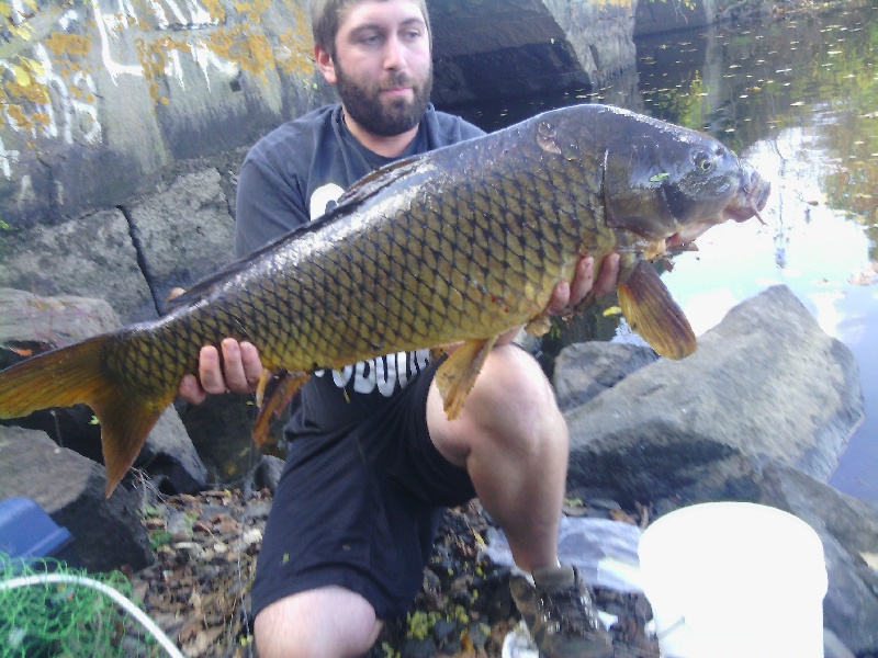 30 pound common carp my PB(personal best) 2013