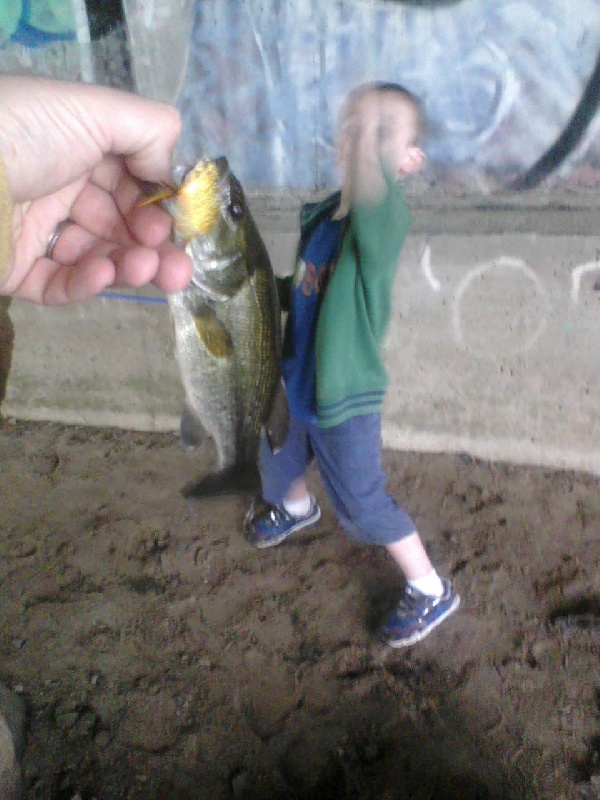 first fish