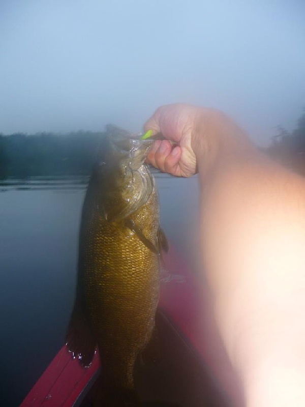 Bar Harbor, ME - Small Mouth