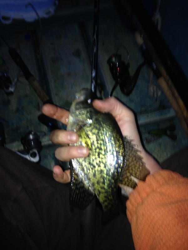 Crappie. Caught 3, all about this size