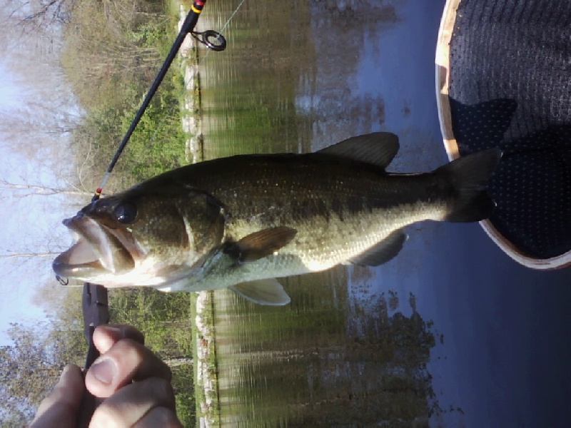 2nd fish from kayak 5/14