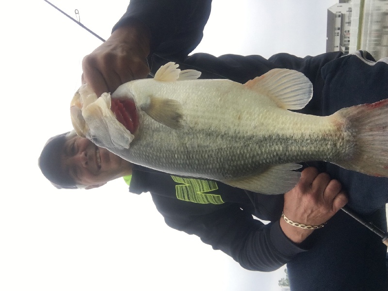 Retention Pond Bass