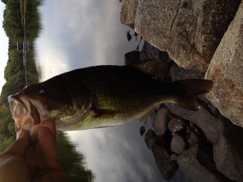 Concord river bass fishing at its finest