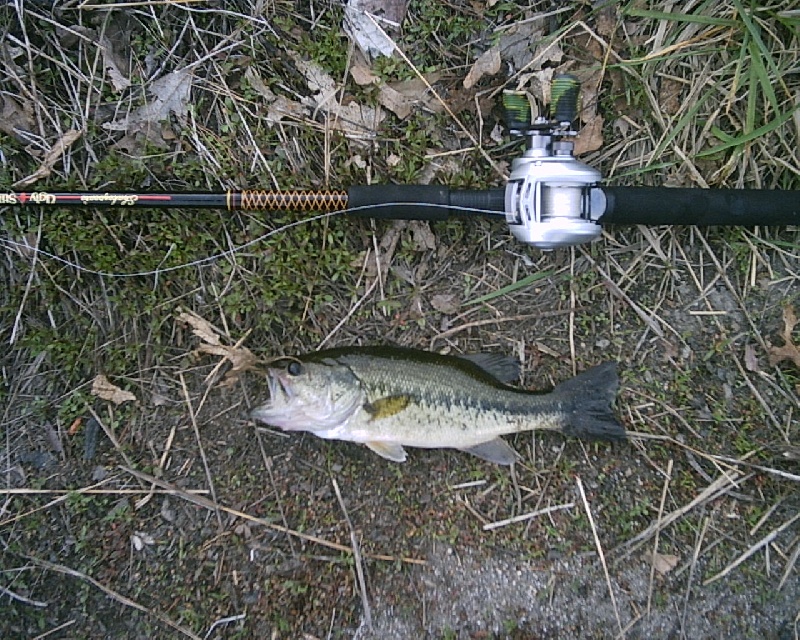 5-8-08 - Lake Maspenock - 2nd of 12 fish