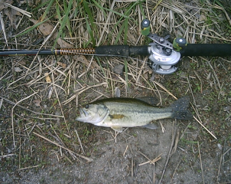 5-8-08 - Lake Maspenock - 5th of 12 fish