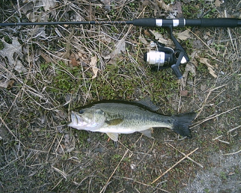 5-8-08 - Lake Maspenock - 7th of 12 fish